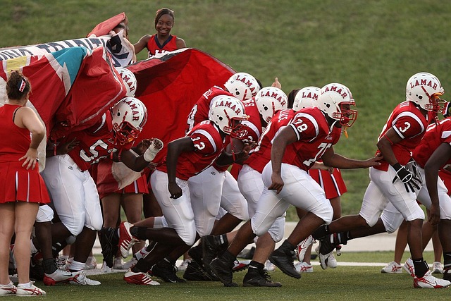 不僅展現了 不僅展現了