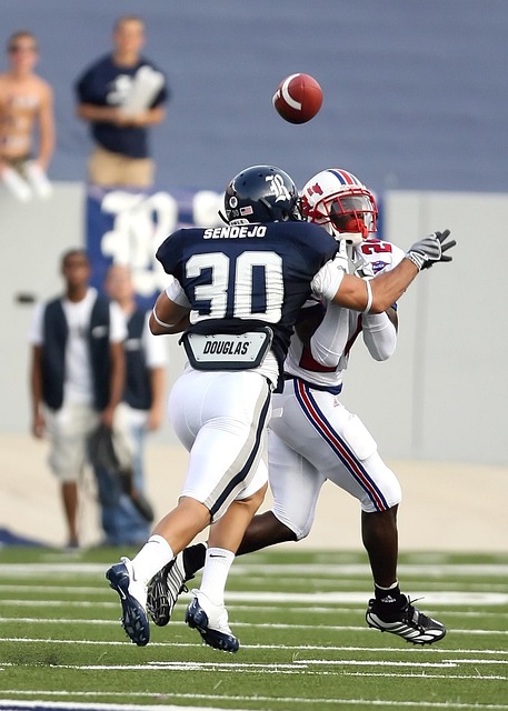 的完美结合 的完美结合